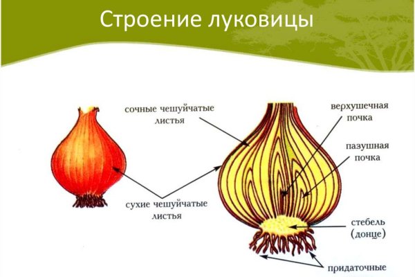 Как восстановить пароль кракен