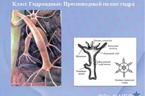 Кракен как попасть